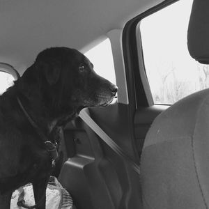 Meet your Posher, Tadi